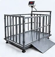 Industrial cage scale with ramp